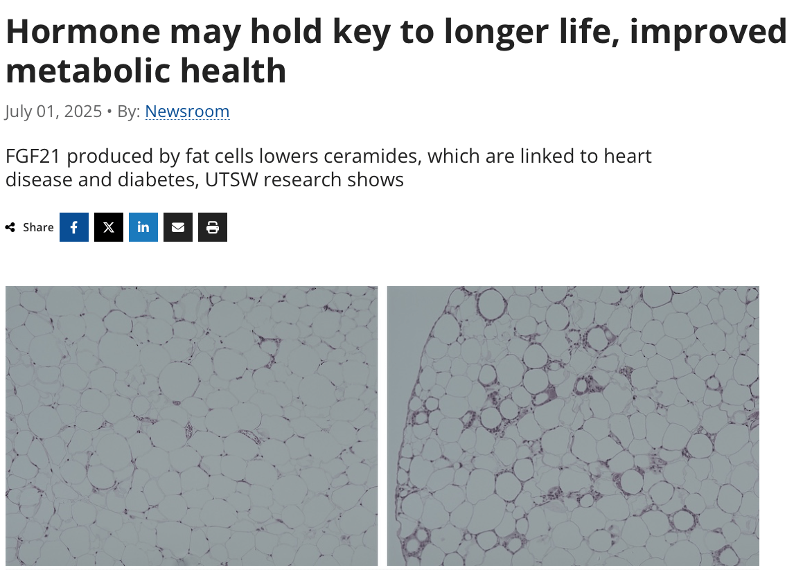Newsroom  / Hormone May hold key to longer life, improved metabolic health